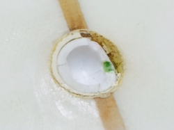 �G�|�L�V EPS �����O 3_4